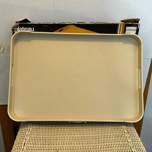 Ingrid  Vintage d and color Large Rectangle Serve Tray for Party, Picnic, or BBQ